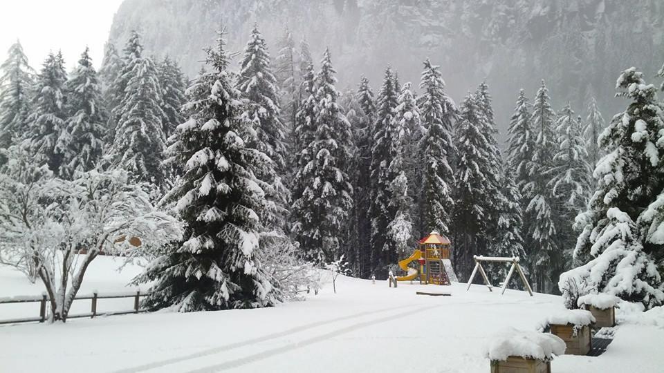Alpenhotel Panorama Кампітелло-ді-Фасса Екстер'єр фото